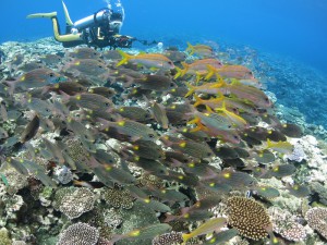IMG_2075