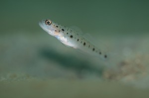 IMG_2352