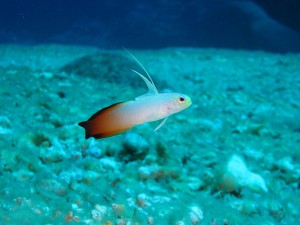IMG_2941