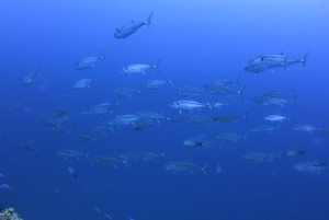 IMG_3002