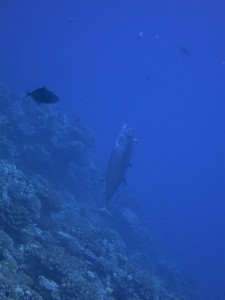 IMG_3095