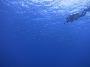 IMG_3098