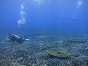 IMG_3109