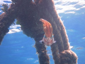 IMG_3179