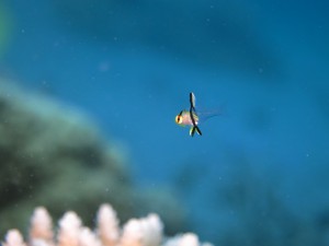 IMG_3205