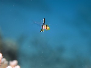 IMG_3208