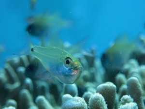IMG_3213