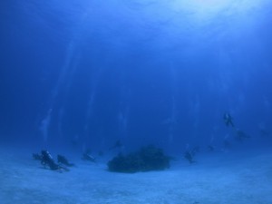 IMG_3279