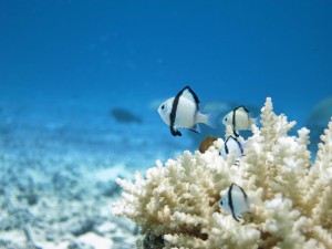 IMG_3541