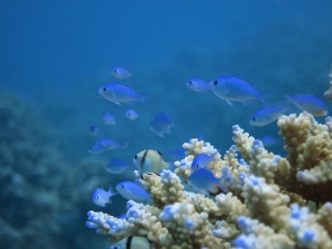 IMG_3559