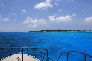 IMG_7031