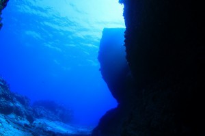IMG_7187