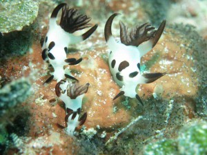 s-IMG_1496