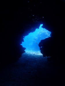 sP6091313
