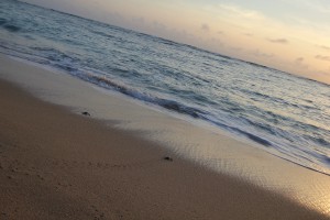 IMG_2165