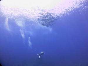 IMG_2680