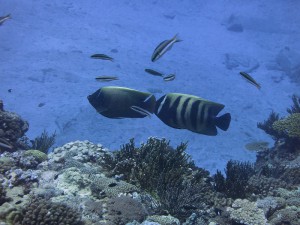 IMG_2801