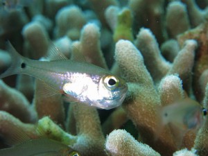 IMG_3729