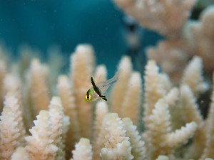 IMG_3735