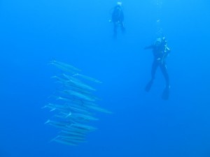 IMG_3788