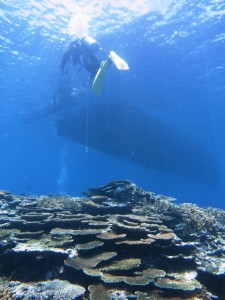 IMG_3796