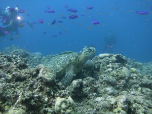 IMG_3805