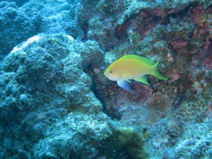 IMG_3811