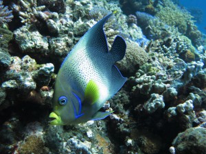 IMG_3976