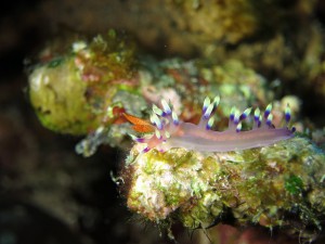 IMG_4048