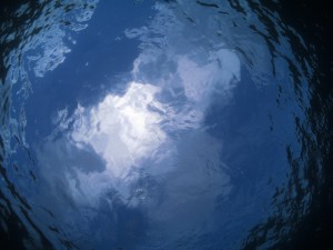 IMG_4060