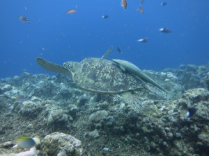 IMG_4073