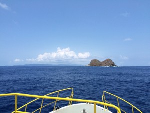 IMG_4233