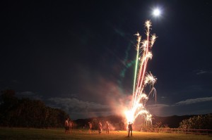 IMG_7799