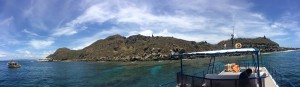 IMG_7825