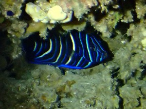 P7152040