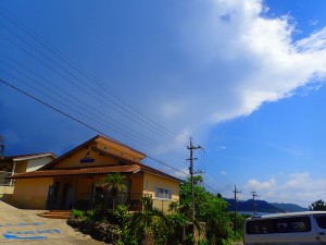 OLYMPUS DIGITAL CAMERA
