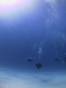s-IMG_2903