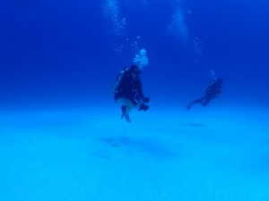 s-P7292560