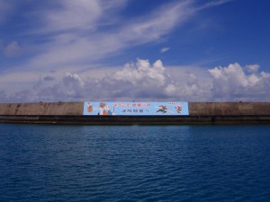 s-P7292569