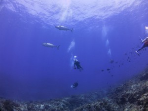 sIMG_2955