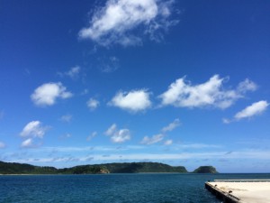 sIMG_3787