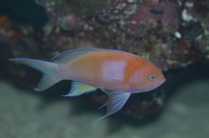 IMG_0381