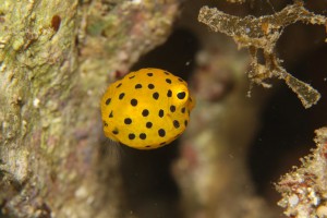 IMG_0776
