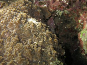 IMG_3073