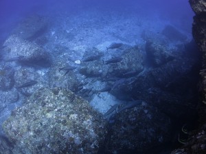 IMG_3333