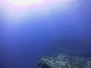 IMG_3412