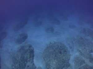 IMG_3457