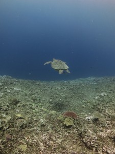IMG_3586