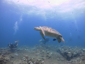 IMG_3650