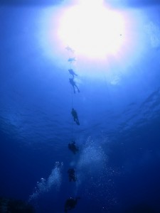 IMG_4285